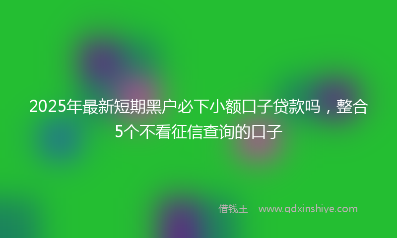 2025年最新短期黑户必下小额口子贷款吗，整合5个不看征信查询的口子