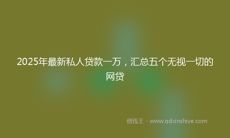 2025年最新私人贷款一万，汇总五个无视一切的网贷