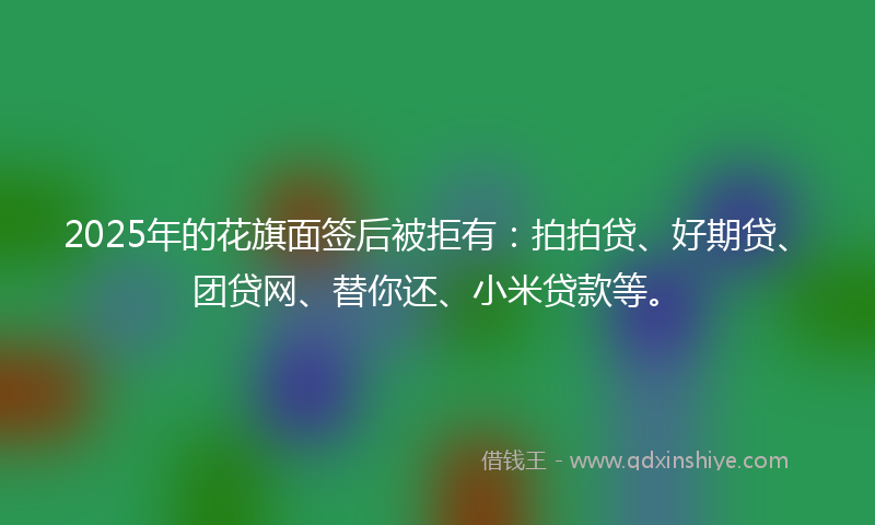 2025年的花旗面签后被拒有：拍拍贷、好期贷、团贷网、替你还、小米贷款等。