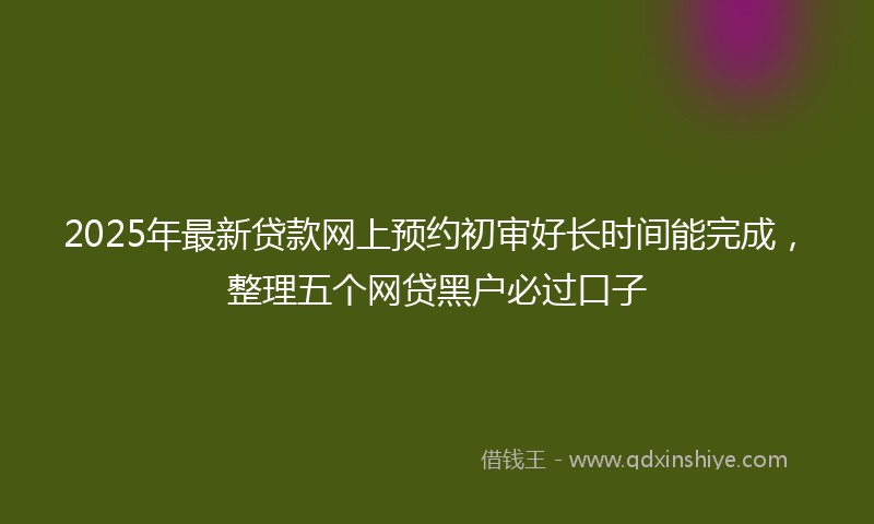 2025年最新贷款网上预约初审好长时间能完成，整理五个网贷黑户必过口子