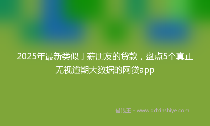2025年最新类似于薪朋友的贷款，盘点5个真正无视逾期大数据的网贷app