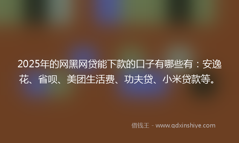 2025年的网黑网贷能下款的口子有哪些有：安逸花、省呗、美团生活费、功夫贷、小米贷款等。