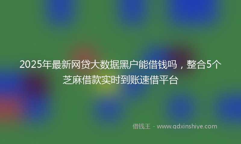 2025年最新网贷大数据黑户能借钱吗，整合5个芝麻借款实时到账速借平台