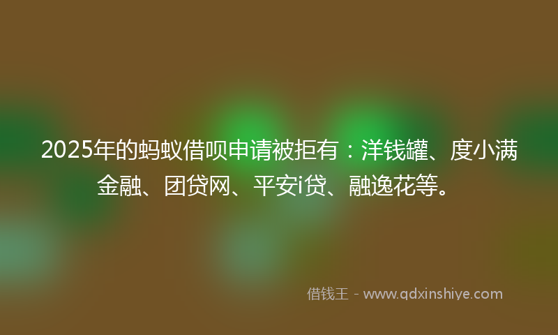 2025年的蚂蚁借呗申请被拒有：洋钱罐、度小满金融、团贷网、平安i贷、融逸花等。