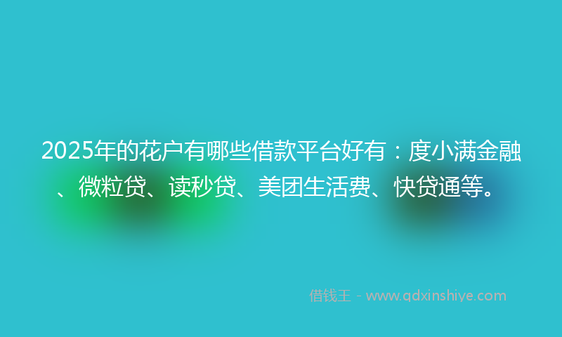 2025年的花户有哪些借款平台好有：度小满金融、微粒贷、读秒贷、美团生活费、快贷通等。