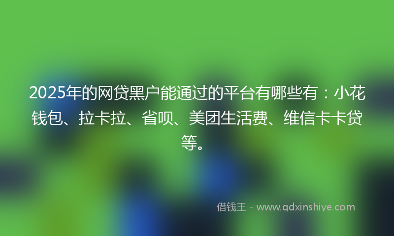 2025年的网贷黑户能通过的平台有哪些有：小花钱包、拉卡拉、省呗、美团生活费、维信卡卡贷等。