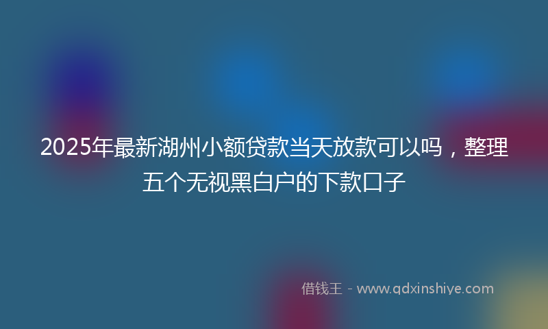 2025年最新湖州小额贷款当天放款可以吗，整理五个无视黑白户的下款口子