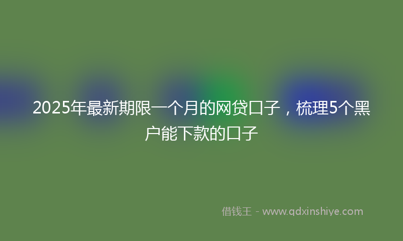 2025年最新期限一个月的网贷口子，梳理5个黑户能下款的口子