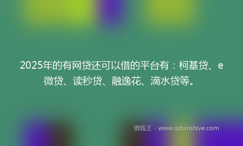 2025年的有网贷还可以借的平台有：柯基贷、e微贷、读秒贷、融逸花、滴水贷等。
