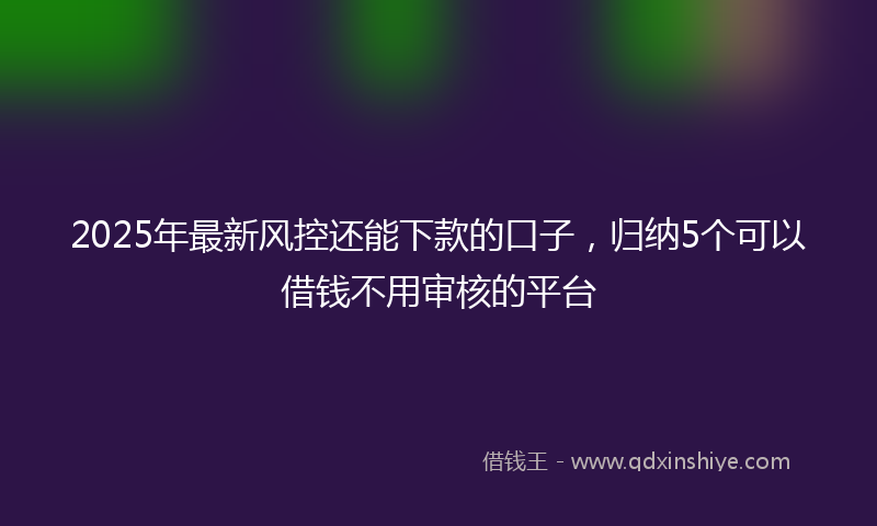 2025年最新风控还能下款的口子，归纳5个可以借钱不用审核的平台