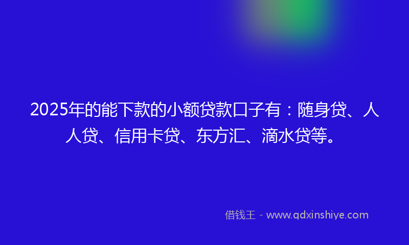 2025年的能下款的小额贷款口子有：随身贷、人人贷、信用卡贷、东方汇、滴水贷等。