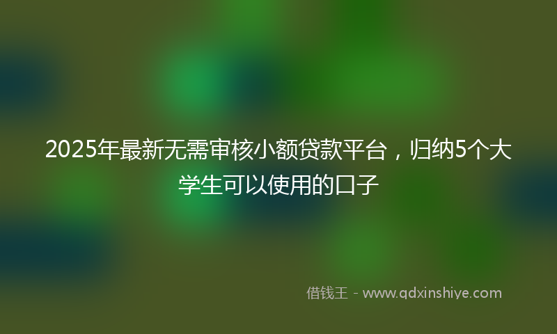 2025年最新无需审核小额贷款平台，归纳5个大学生可以使用的口子