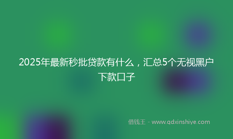 2025年最新秒批贷款有什么，汇总5个无视黑户下款口子