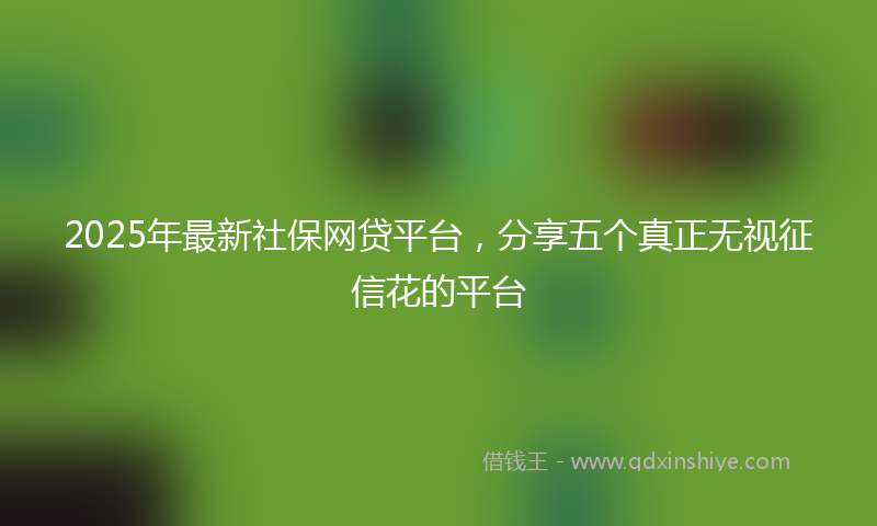 2025年最新社保网贷平台，分享五个真正无视征信花的平台