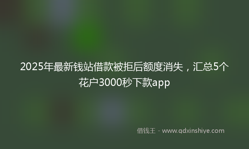 2025年最新钱站借款被拒后额度消失，汇总5个花户3000秒下款app