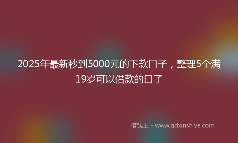 2025年最新秒到5000元的下款口子，整理5个满19岁可以借款的口子