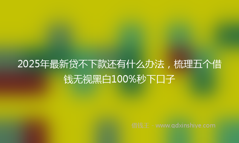 2025年最新贷不下款还有什么办法，梳理五个借钱无视黑白100%秒下口子