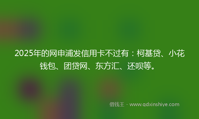 2025年的网申浦发信用卡不过有：柯基贷、小花钱包、团贷网、东方汇、还呗等。
