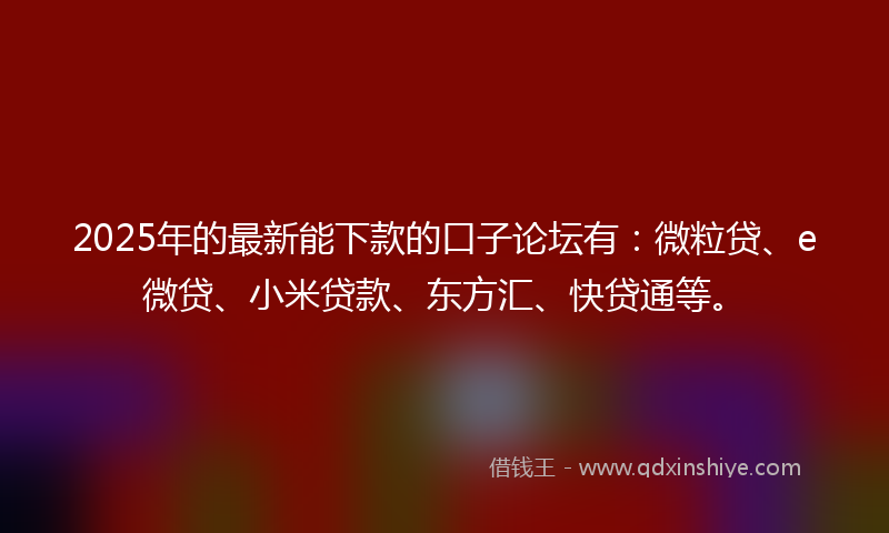 2025年的最新能下款的口子论坛有：微粒贷、e微贷、小米贷款、东方汇、快贷通等。