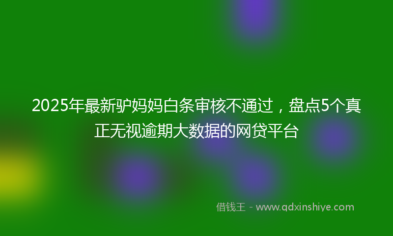 2025年最新驴妈妈白条审核不通过，盘点5个真正无视逾期大数据的网贷平台