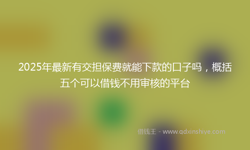 2025年最新有交担保费就能下款的口子吗，概括五个可以借钱不用审核的平台