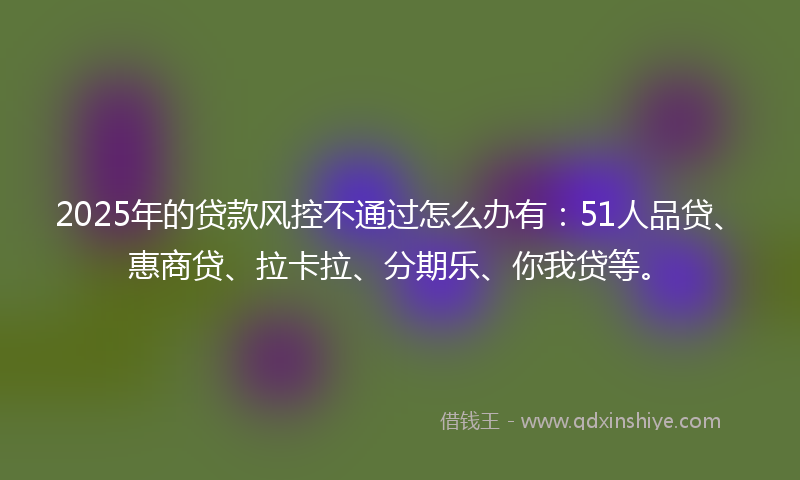2025年的贷款风控不通过怎么办有：51人品贷、惠商贷、拉卡拉、分期乐、你我贷等。