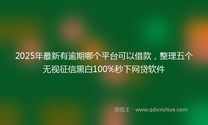 2025年最新有逾期哪个平台可以借款，整理五个无视征信黑白100%秒下网贷软件