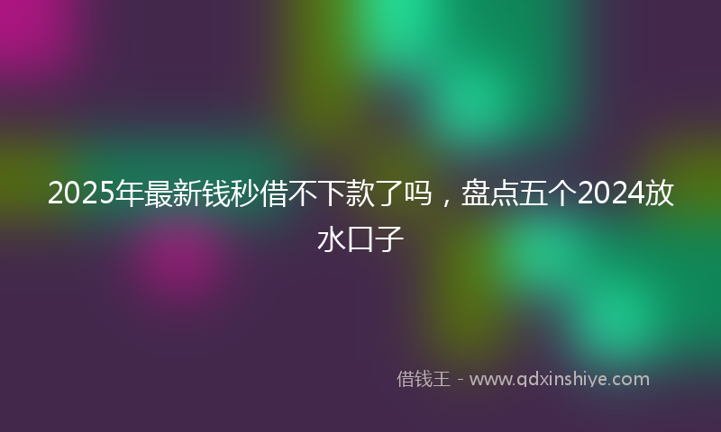 2025年最新钱秒借不下款了吗，盘点五个2024放水口子