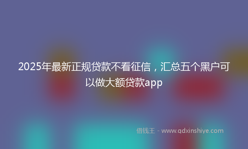 2025年最新正规贷款不看征信，汇总五个黑户可以做大额贷款app