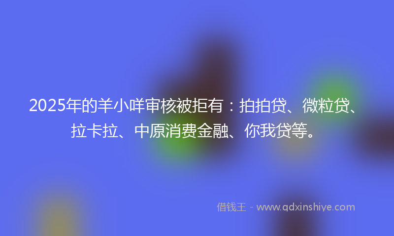 2025年的羊小咩审核被拒有：拍拍贷、微粒贷、拉卡拉、中原消费金融、你我贷等。