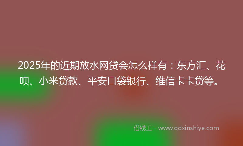 2025年的近期放水网贷会怎么样有：东方汇、花呗、小米贷款、平安口袋银行、维信卡卡贷等。