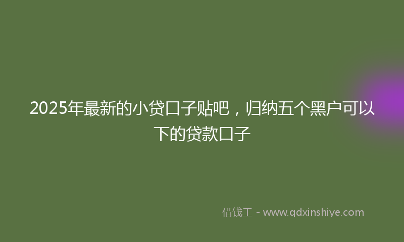 2025年最新的小贷口子贴吧，归纳五个黑户可以下的贷款口子