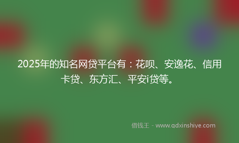 2025年的知名网贷平台有：花呗、安逸花、信用卡贷、东方汇、平安i贷等。