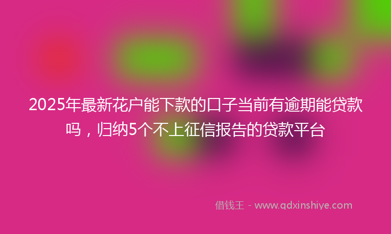 2025年最新花户能下款的口子当前有逾期能贷款吗，归纳5个不上征信报告的贷款平台