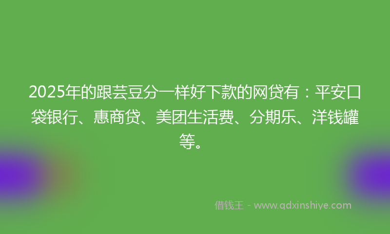 2025年的跟芸豆分一样好下款的网贷有：平安口袋银行、惠商贷、美团生活费、分期乐、洋钱罐等。