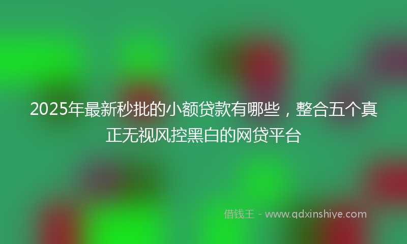2025年最新秒批的小额贷款有哪些，整合五个真正无视风控黑白的网贷平台