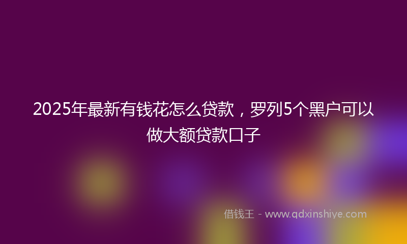 2025年最新有钱花怎么贷款，罗列5个黑户可以做大额贷款口子