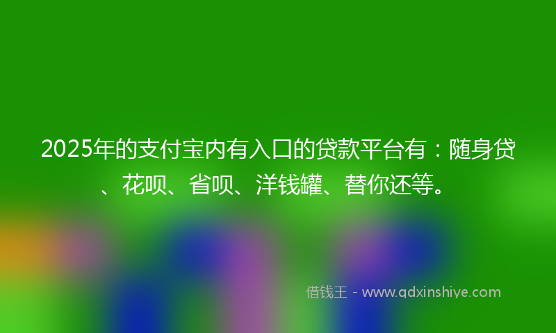2025年的支付宝内有入口的贷款平台有：随身贷、花呗、省呗、洋钱罐、替你还等。