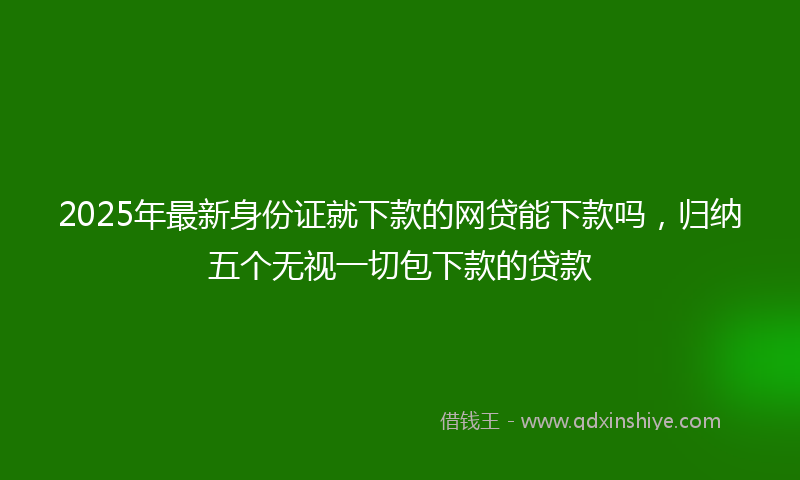 2025年最新身份证就下款的网贷能下款吗，归纳五个无视一切包下款的贷款