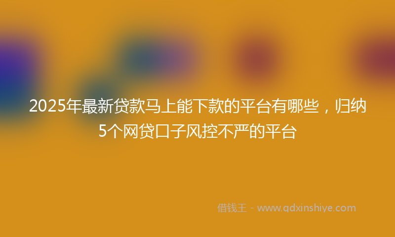 2025年最新贷款马上能下款的平台有哪些，归纳5个网贷口子风控不严的平台