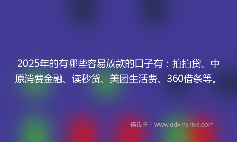 2025年的有哪些容易放款的口子有：拍拍贷、中原消费金融、读秒贷、美团生活费、360借条等。