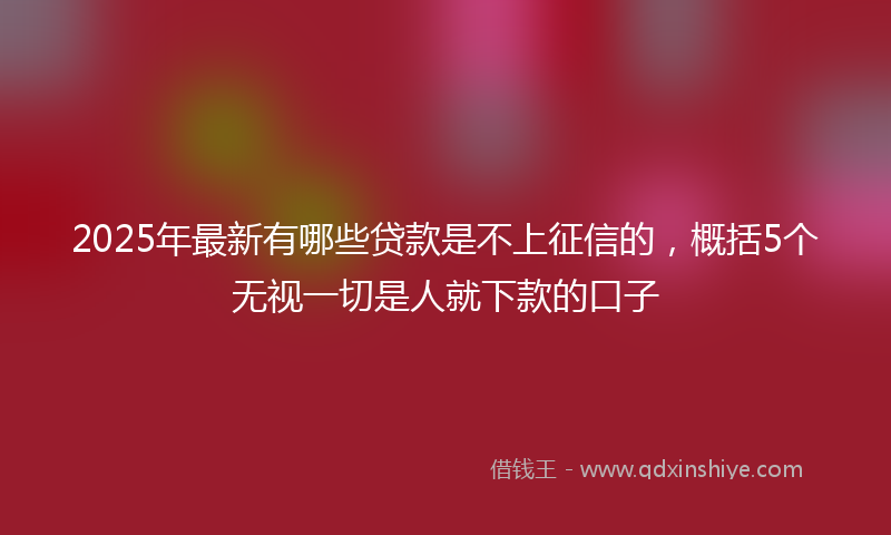 2025年最新有哪些贷款是不上征信的，概括5个无视一切是人就下款的口子
