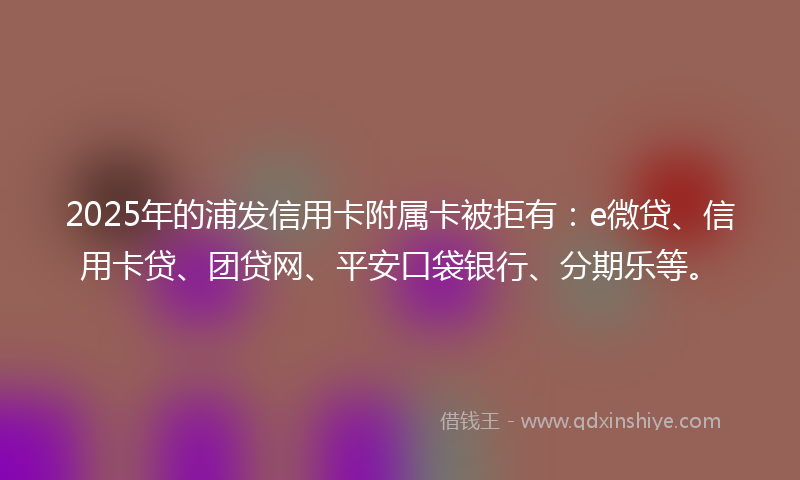 2025年的浦发信用卡附属卡被拒有：e微贷、信用卡贷、团贷网、平安口袋银行、分期乐等。