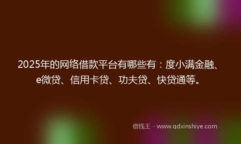 2025年的网络借款平台有哪些有：度小满金融、e微贷、信用卡贷、功夫贷、快贷通等。