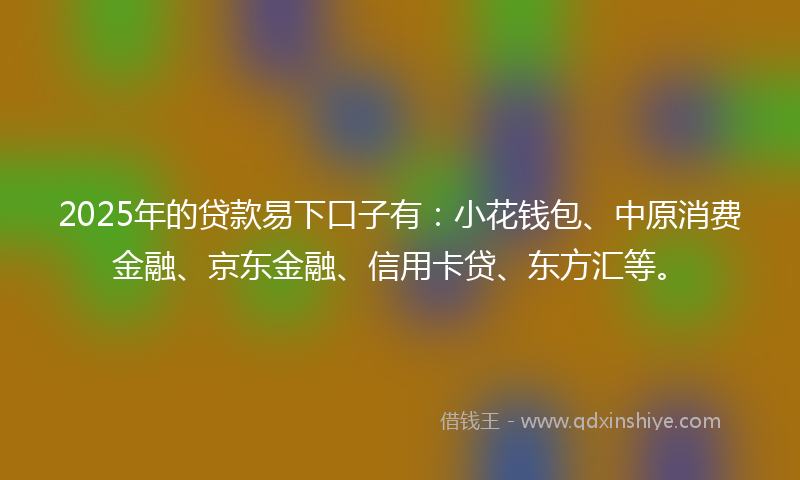 2025年的贷款易下口子有：小花钱包、中原消费金融、京东金融、信用卡贷、东方汇等。