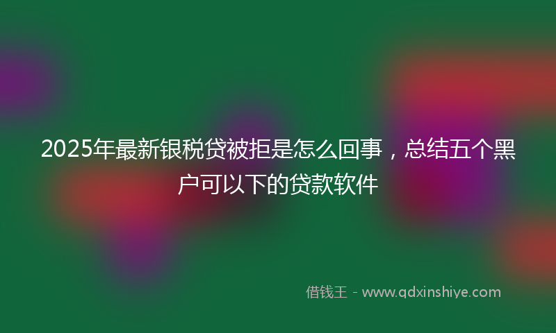 2025年最新银税贷被拒是怎么回事，总结五个黑户可以下的贷款软件