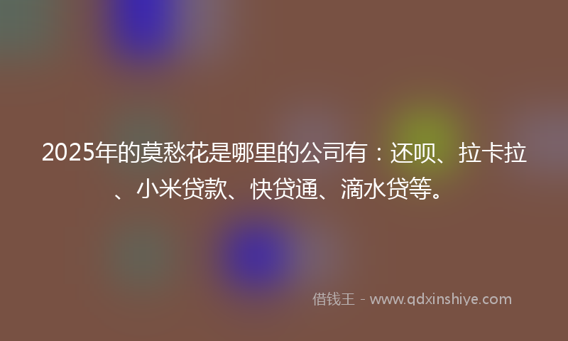 2025年的莫愁花是哪里的公司有：还呗、拉卡拉、小米贷款、快贷通、滴水贷等。