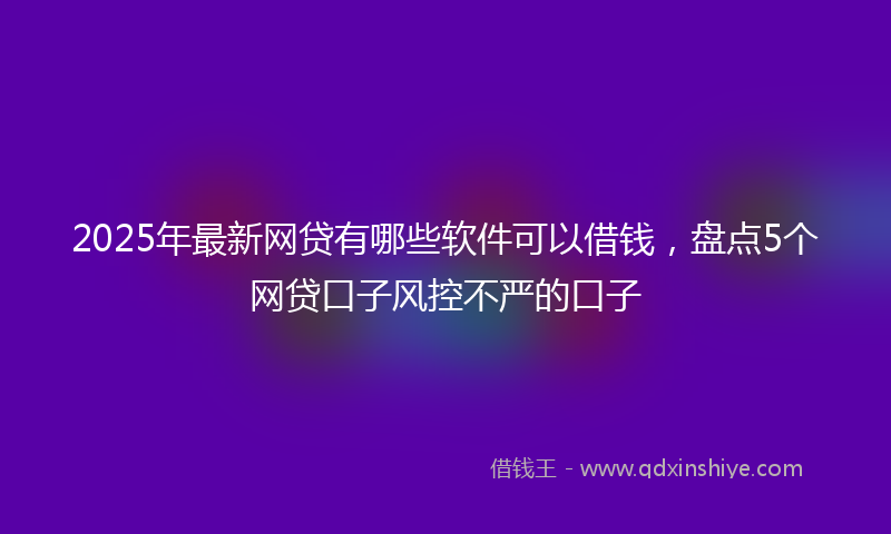 2025年最新网贷有哪些软件可以借钱，盘点5个网贷口子风控不严的口子