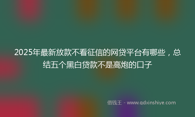 2025年最新放款不看征信的网贷平台有哪些，总结五个黑白贷款不是高炮的口子