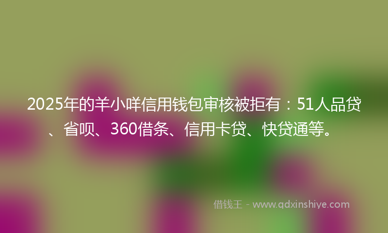 2025年的羊小咩信用钱包审核被拒有：51人品贷、省呗、360借条、信用卡贷、快贷通等。